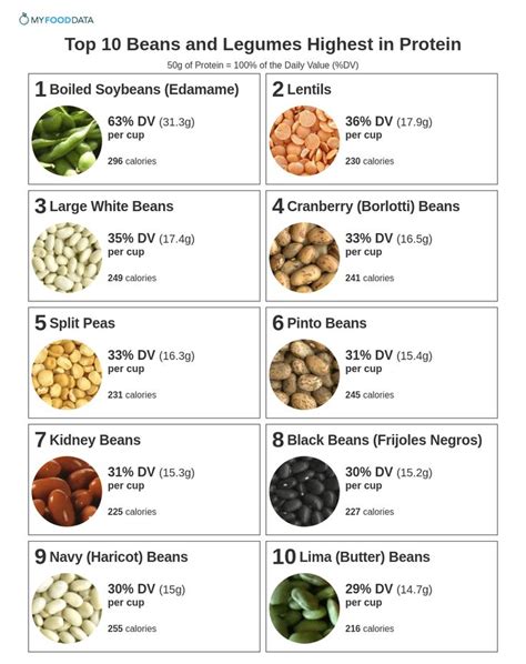 Top 10 Beans and Legumes Highest in Protein | Protein in beans, Vegan ...