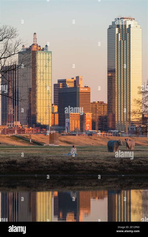 Downtown dallas skyline hi-res stock photography and images - Alamy