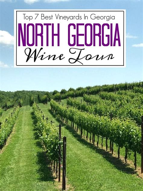 7 Beautiful North Georgia Vineyards | Best Wine Tours in Georgia