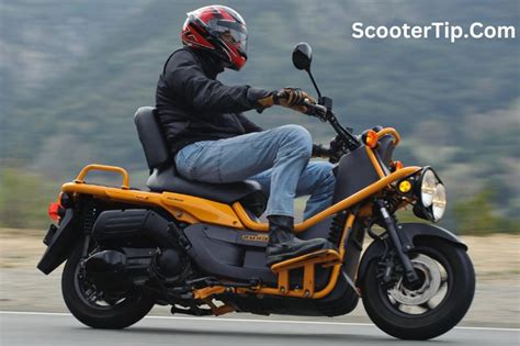 What Is The Honda Ruckus Top Speed? (Secret REVEALED!) 2024 » Scooter Tip