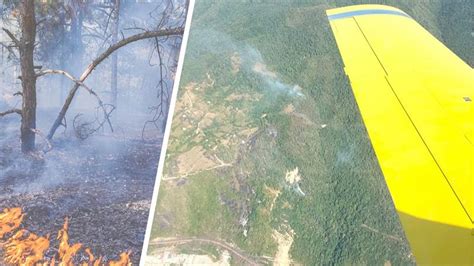 Aircraft Support from Turkey to the Forest Fire in Georgia