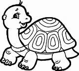Tortoise Turtle Side Coloring Page  Wecoloringpagecom sketch template