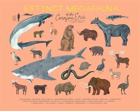 Extinct Megafauna of the Cenozoic Era | Etsy | Megafauna, Cenozoic era, Prehistoric animals