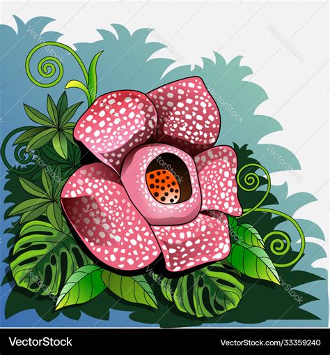 Rafflesia arnoldii flower Royalty Free Vector Image