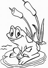 Free & Easy To Print Frog Coloring Pages  sketch template