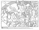 Forest Habitat Coloring Pages At GetDrawings  Free Download sketch template