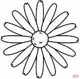 Daisy Coloring Page  Free Printable Coloring Pages sketch template