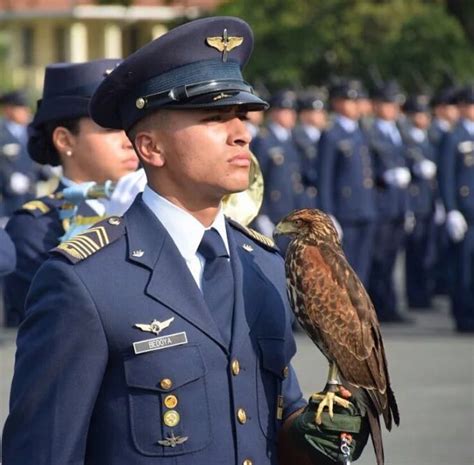 168 cadetes de la Fuerza Aérea Colombiana dijeron "Si juro" | Fuerza ...