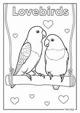 Umbrellabird Coloring Pages Free Printable PDFs  WakeTheKids sketch template