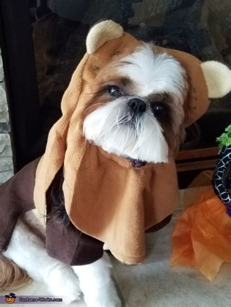 Ewok Dog's Halloween Costume | Original DIY Costumes