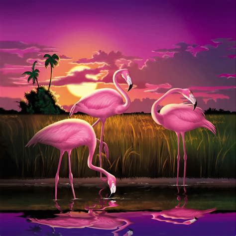 Pink Flamingos At Sunset Tropical Landscape - Square Format Digital Art by Walt Curlee