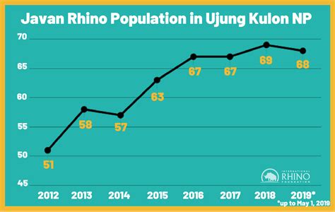 Javan Rhinos Population 2024 - Chad Meghan