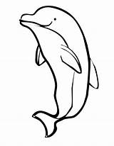 Dolphin Coloring Pages Printable sketch template