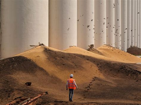 For an Engineer and a Photographer Beirut’s Damaged Grain Silos Are a ...