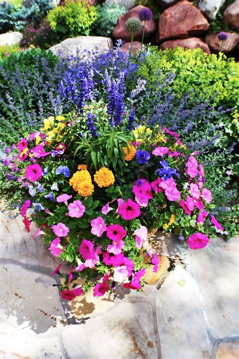 Annual Flower Pots | Flower pot garden, Container gardening flowers, Outdoor flowering plants