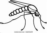 Swatter Icon Outline Style Coloring Template Stock Vector Royalty Free  sketch template