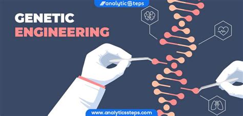 What is Genetic Engineering? Types, Process & Applications | Analytics ...