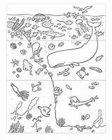 Ocean Zones Coloring Pages sketch template