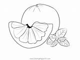 Grapefruit 2 Coloring Page For Kids  Free Printable sketch template