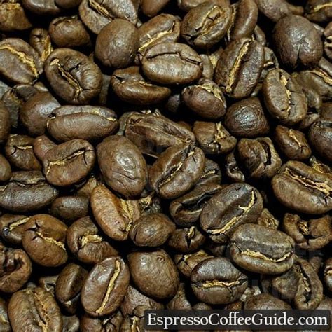 Kenya AA Coffee Beans - Espresso & Coffee Guide