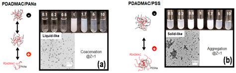 Colloids and Interfaces | Free Full-Text | An Overview of Coacervates: The Special Disperse ...