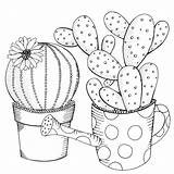 Free SUCCULENT Coloring Pages For Download Printable PDF sketch template