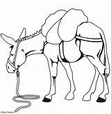Free Donkey coloring Page sketch template