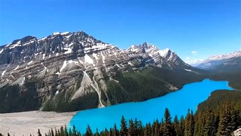 Discovering the Breathtaking Beauty of Peyto Lake: A Jewel of Banff National Park