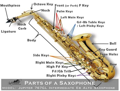 Saxophone Diagram