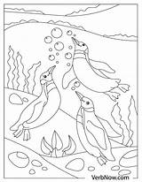 Free PENGUINS Coloring Pages For Download Printable PDF  VerbNow sketch template
