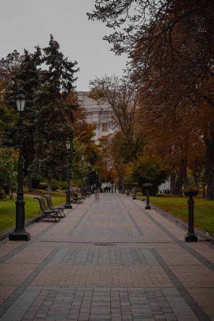 Premium Photo | People are walking in the autumn park