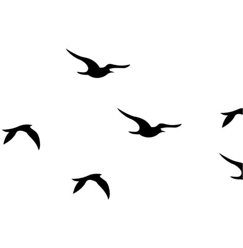 Flying Bird PNG High Quality Image - PNG All | PNG All