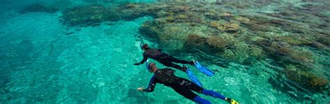 Snorkeling Fiji