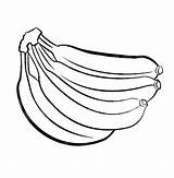Banana Coloring Page At GetColoringscom  Free Printable Colorings sketch template