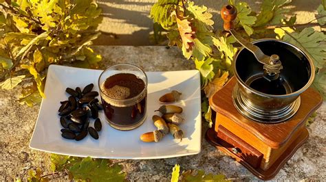 Homemade ACORN COFFEE - Processing and Preparing the ACORN 🐿 How to make Coffee from ACORN - YouTube