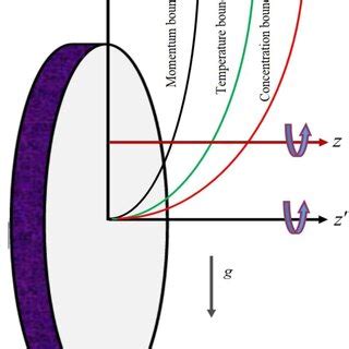 Fluid flow over an irregular permeable surface. | Download Scientific Diagram