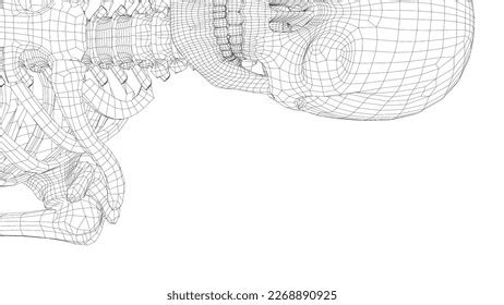 Human Skeleton 3d Illustration Wireframe Style Stock Illustration 2268890925 | Shutterstock