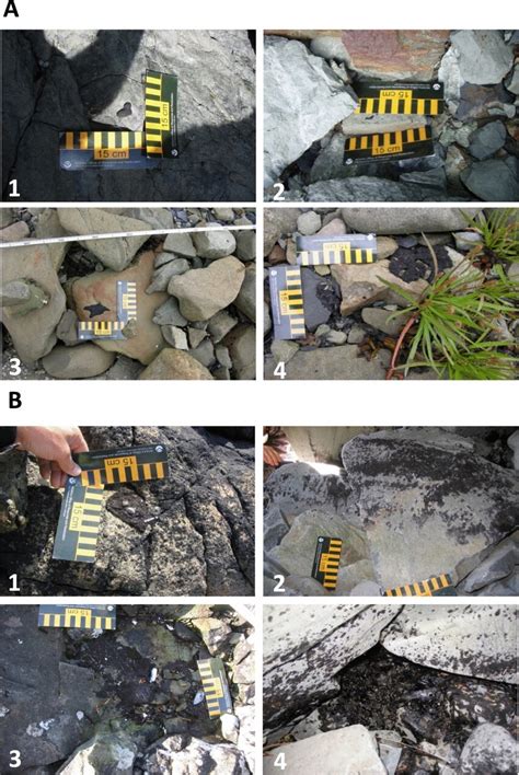 Typical deposits of tar balls and tar mats from A Monterey Formation... | Download Scientific ...