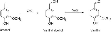 Synthesis of vanillin from creosol using vanillyl-alcohol oxidase... | Download Scientific Diagram