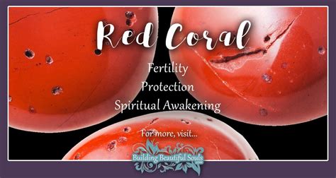 Coral Meaning & Properties | Healing Crystals & Stones