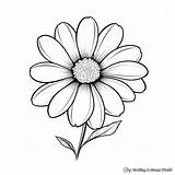 Large Poppy Flower Coloring Page  Best Site sketch template