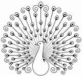 Elementary Art Projects From My Room Peacock Coloring Pages  sketch template