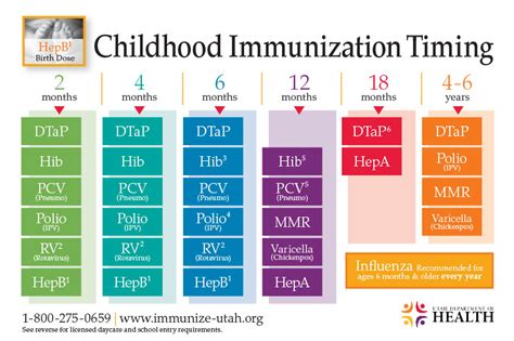 Louisiana Immunization Schedule 2024 - Ashil Lurlene