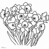 Free Printable Spring Flowers Coloring Pages  Home sketch template