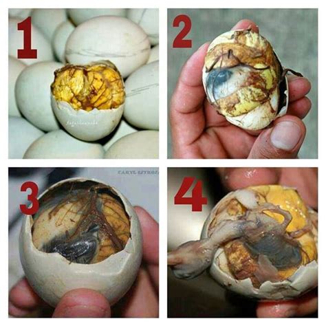 How Many Hours To Cook Balut - BIG DREAM