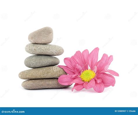 Zen / Spa Stones With Flowers Royalty Free Stock Photography - Image: 5388907