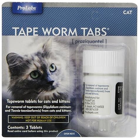 Best Tapeworm Medicine For Cats: 3 Affordable, Sure Fire Solutions - TinPaw