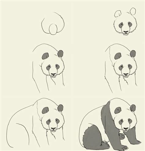 how to draw a panda | Panda drawing, Panda sketch, Panda art