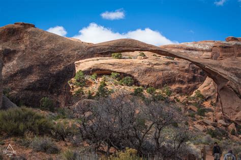 Awesome Easy Arches Hike: Landscape Arch Trail