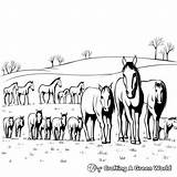 Herd Of Horses Coloring Pages  Free & Printable sketch template